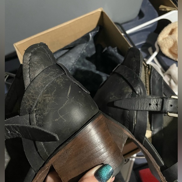 Calico - Picture 4 of 5